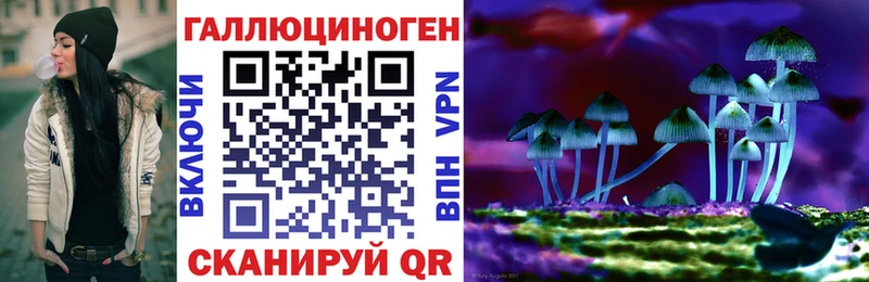 даркнет Telegram дарнет шоп Майский Галлюциногенные грибы Psilocybine cubensis
